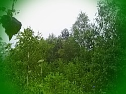 ����� � ������� �������� ����� ��������