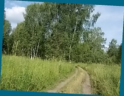 ��� ���������� ������� �������� ������� ��������� ����